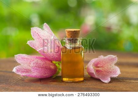 Essence Of Flowers On Table In Beautiful Glass Bottle