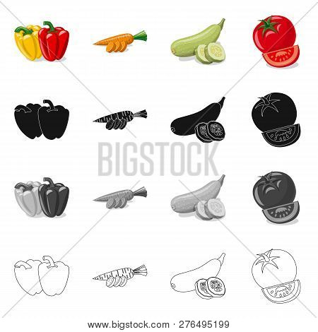 Vector Design Of Vegetable And Fruit Sign. Set Of Vegetable And Vegetarian Stock Vector Illustration
