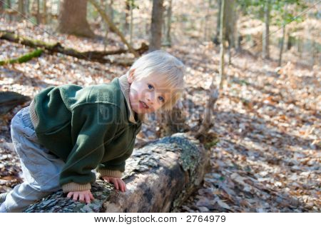 Cute Climber