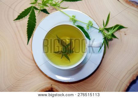 Marijuana Tea. Hemp Tea. Cannabis Tea in a White Tea Cup with a Marijuana Leaf and Stem with Flowers and Leaves on a Wooden Tree Stump serving tray. Room for text. 
