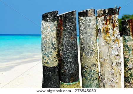 Turquoise Beach In Zanzibar Island - Tanzania