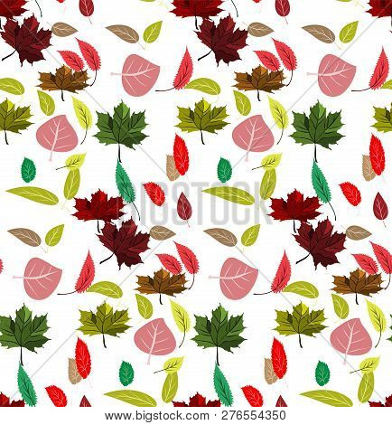 Autumn Lives Varity Of Sort Of Trees Colored Seamless Pattern