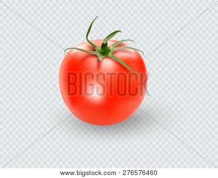 Tomato Set. Red Tomato Collection. Photo-realistic Vector Tomatoes On Transparent Background