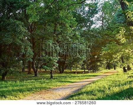 Park Full Of Greenery In The Suburbs Of Milan, Cernusco Sul Naviglio