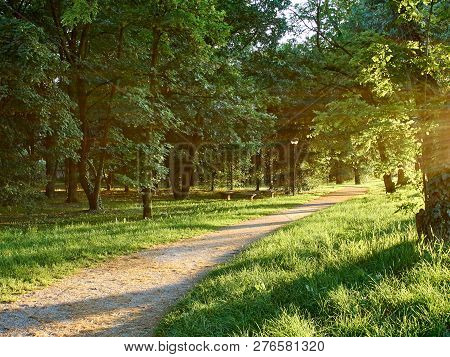 Park Full Of Greenery In The Suburbs Of Milan, Cernusco Sul Naviglio
