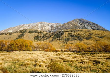 Mountain Fields Landscape In New Zealand Alps