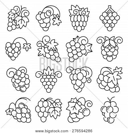 Grape Fruit Icon Set. Outline Set Of Grape Fruit Icons For Web Design Isolated On White Background