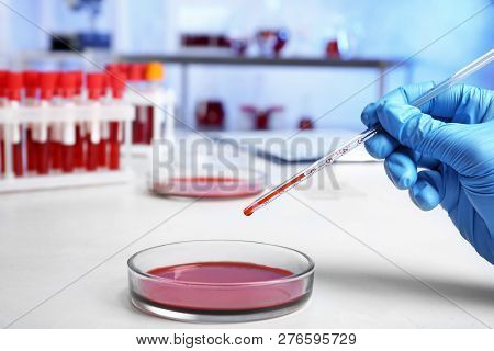 Laboratory Worker Pipetting Blood Sample Into Petri Dish On Table, Closeup. Research And Analysis
