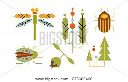 Collection Of Insects And Trees, Nature And Ecology Design Elements Vector Illustration