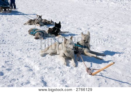 Haska