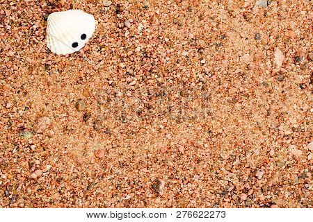 Shell With Googly Eyes Lying On The Sea Sand, Sand Background., Close-up.