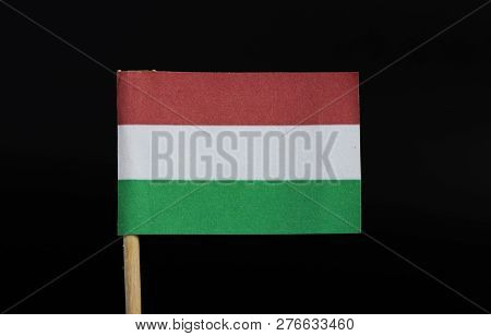 A National  Flag Of Hungary On Toothpick On Black Background. A Horizontal Triband Of Red, White And