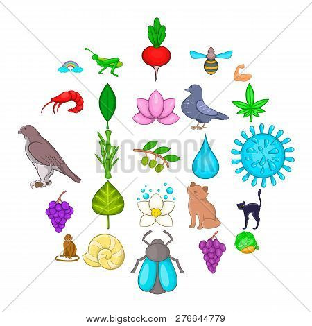 Full Blooded Icons Set. Cartoon Set Of 25 Full Blooded Icons For Web Isolated On White Background