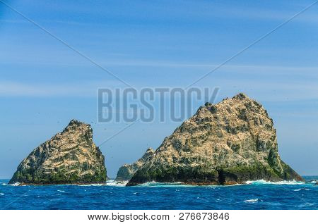 The Shag Rocks Are Six Small, Uninhabited, Islands On The Most Western Part Of South Georgia. They A