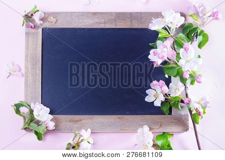 Spring Apple Tree Blooming Flowers On Pink Background, Top View Flat Lay Scene With Copy Space On Bl