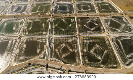 Shrimp Farm, Prawn Farming With With Aerator Pump Oxygenation Water Near Ocean. Aerial View Fish Far