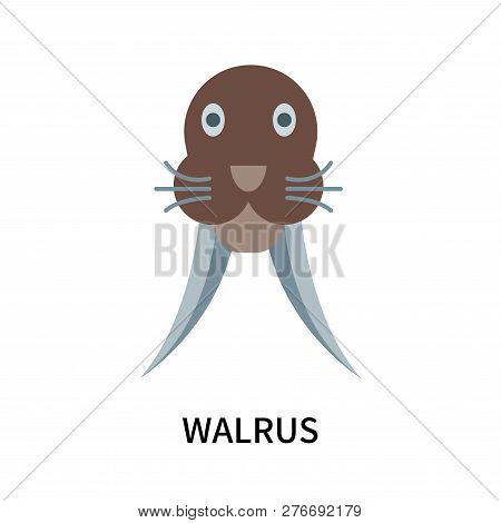 Walrus Icon Isolated On White Background. Walrus Icon Simple Sign. Walrus Icon Trendy And Modern Sym