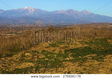 Lush Field Including The San Gabriel Mountains Beyond Taken On Lush Grasslands With The San Gabriel 