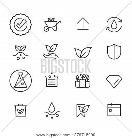 Simple Vector Set Of Plants. Related Vector Line Icons.