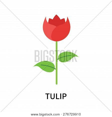 Tulip Icon Isolated On White Background. Tulip Icon Simple Sign. Tulip Icon Trendy And Modern Symbol
