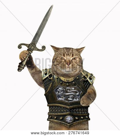 The Cat Hero In A Cuirass Holds A Sword. White Background.