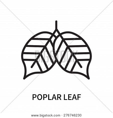 Poplar Leaf Icon Isolated On White Background. Poplar Leaf Icon Simple Sign. Poplar Leaf Icon Trendy