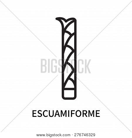 Escuamiforme Icon Isolated On White Background. Escuamiforme Icon Simple Sign. Escuamiforme Icon Tre