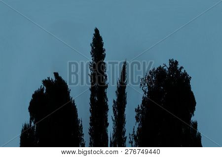 Scary Background With Ghost In Dark Night Tones. Night Silhouette Of Creepy Monster In Shadow With C