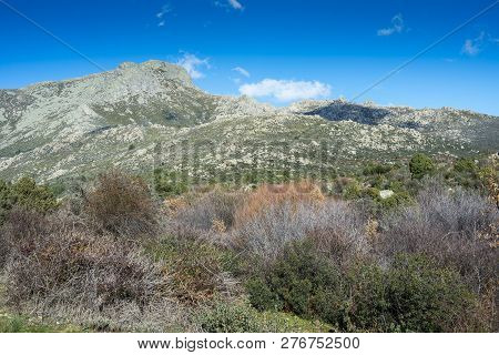 Views Of The River Navacerrada In Guadarrama Mountains (madrid, Spain), With La Maliciosa Peak In Th