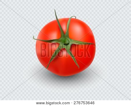 Tomato Set. Red Tomato Collection. Photo-realistic Vector Tomatoes On Transparent Background