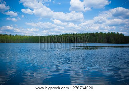 Summer Day At A Forest Lake