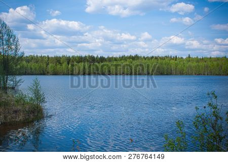 Summer Day At A Forest Lake