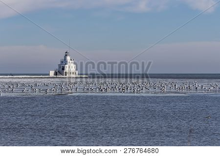 Lighthouse On The Lake Michigan With Seagulls On The Ice.. 
.manitowoc  Wisconsin