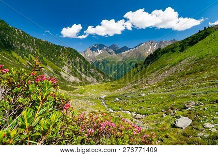 Beautiful Summer Mountains Landscape In Stubai Tyrol Alps Near New Regensburger Mountain Hut, Austri