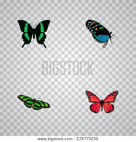 Set Of Beauty Realistic Symbols With Birdwing, Pink-wing, Tropical Moth And Other Icons For Your Web