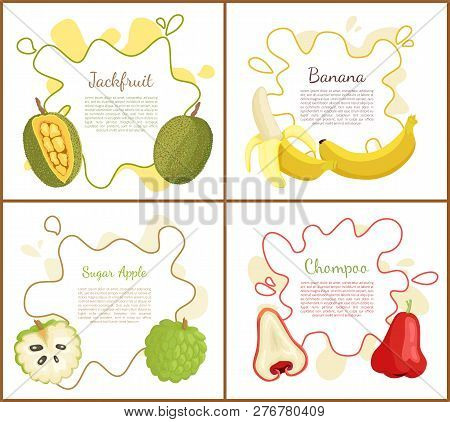 Jackfruit And Sugar Apple, Ripe Yellow Banana And Chompoo, Posters Set With Text Sample On Blot. Nat