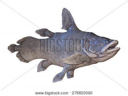 3D Rendering Mawsonia Fish On White