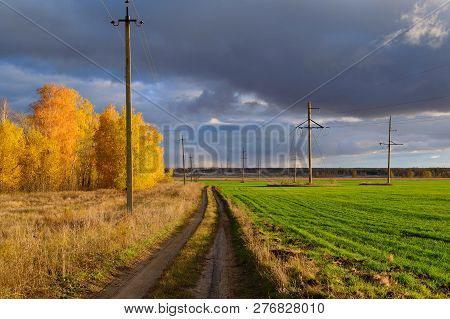 Fields With Green Crops Under The Bright Sun