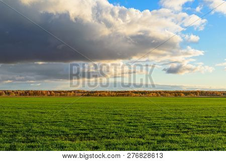 Fields With Green Crops Under The Bright Sun
