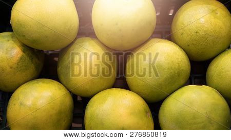 Top View Of Several Pomelos Yellow Green Color Lying In Plastic Box. Pomelos In The Plastic Box For 