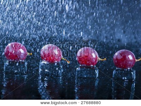 雨の中でブドウ