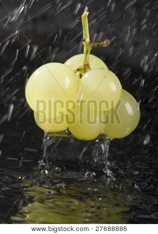 雨の中でブドウ