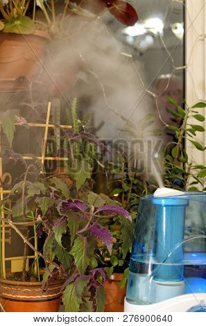 To Create A Comfortable Microclimate In The Apartment.