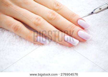 Spa Manicure. French Manicure At Spa Salon. Woman Hands In A Nail Salon Receiving A Manicure Procedu