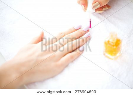 Spa Manicure. French Manicure At Spa Salon. Woman Hands In A Nail Salon Receiving A Manicure Procedu