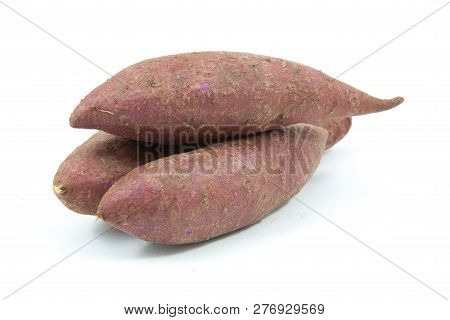Tapioca Plants Cassava Closeup Isolated On White Background