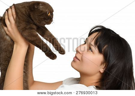 Young Girl In A White T-shirt Holds A Cat