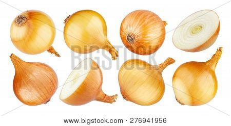 Isolated Onion, Whole And Half Of Ripe Onion On White Background