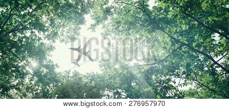 Eco-friendly Air Transport Concept. The Plane Flies In The Sky Against The Background Of Green Trees