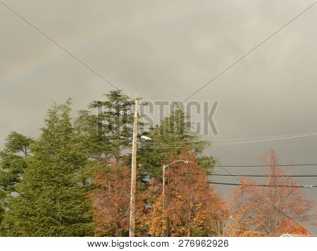 Rainbow In Fog Overlooking Evergreens And Fall Trees